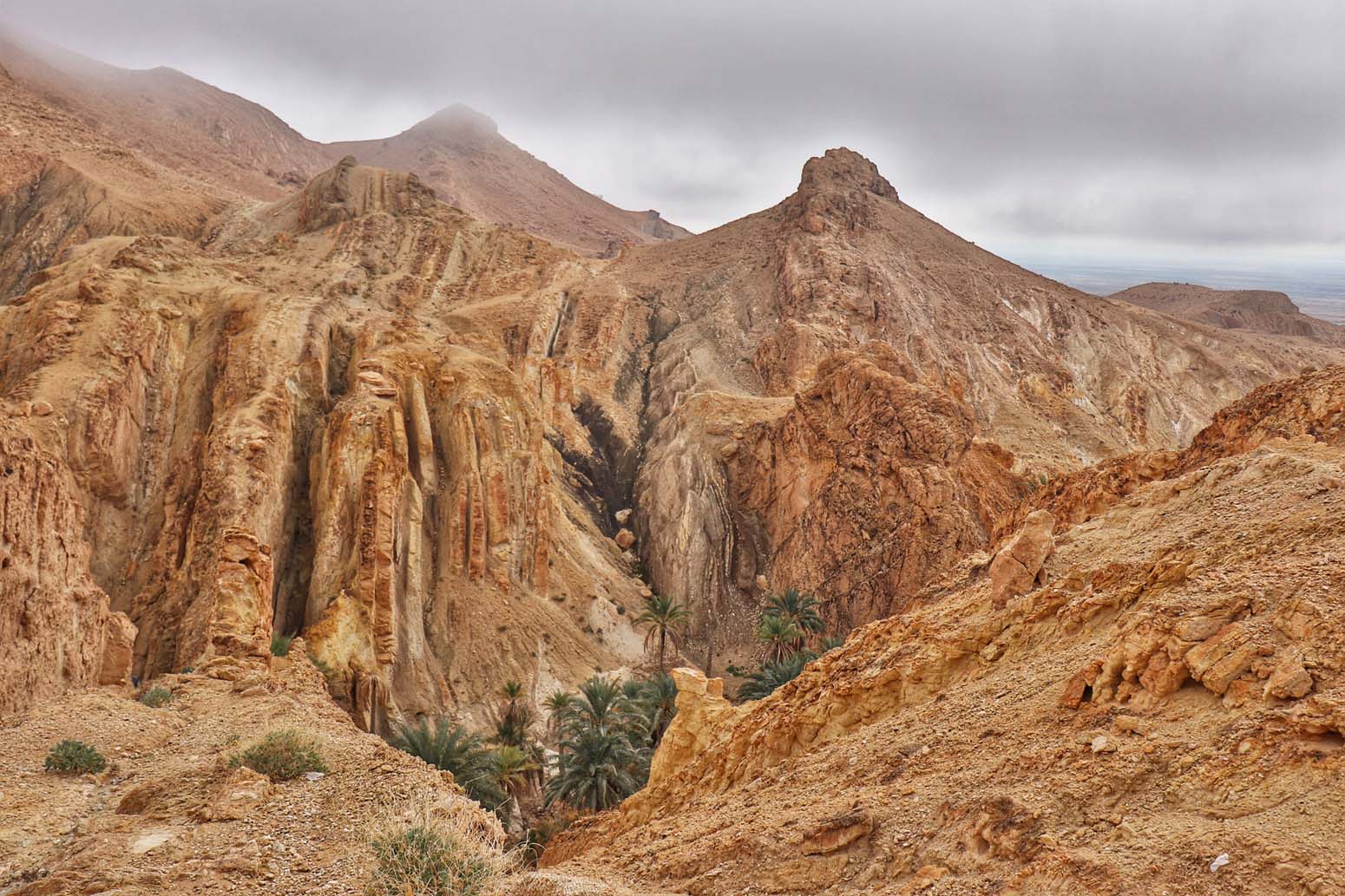 monte sinai